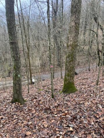 0 Talley Top Trail Huntland TN 37345