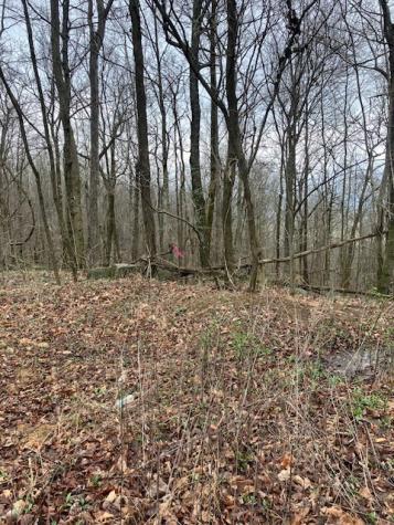 0 Talley Top Trail Huntland TN 37345