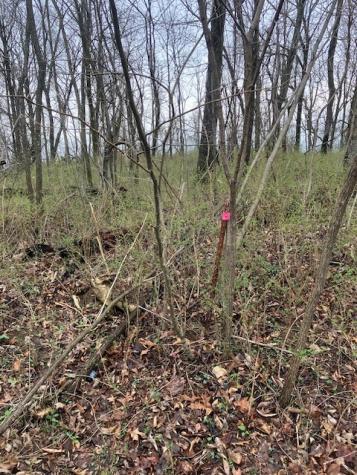 0 Talley Top Trail Huntland TN 37345