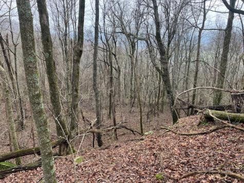 0 Talley Top Trail Huntland TN 37345