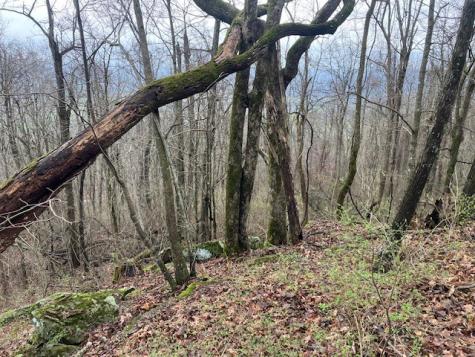 0 Talley Top Trail Huntland TN 37345