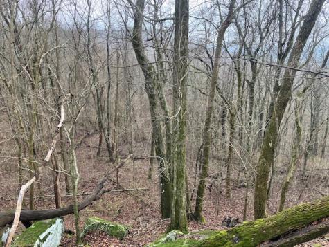 0 Talley Top Trail Huntland TN 37345