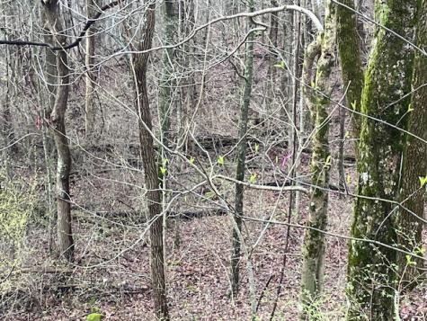 0 Talley Top Trail Huntland TN 37345