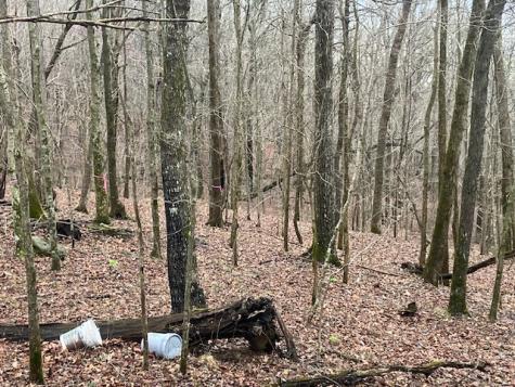 0 Talley Top Trail Huntland TN 37345