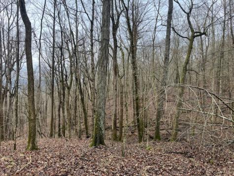 0 Talley Top Trail Huntland TN 37345