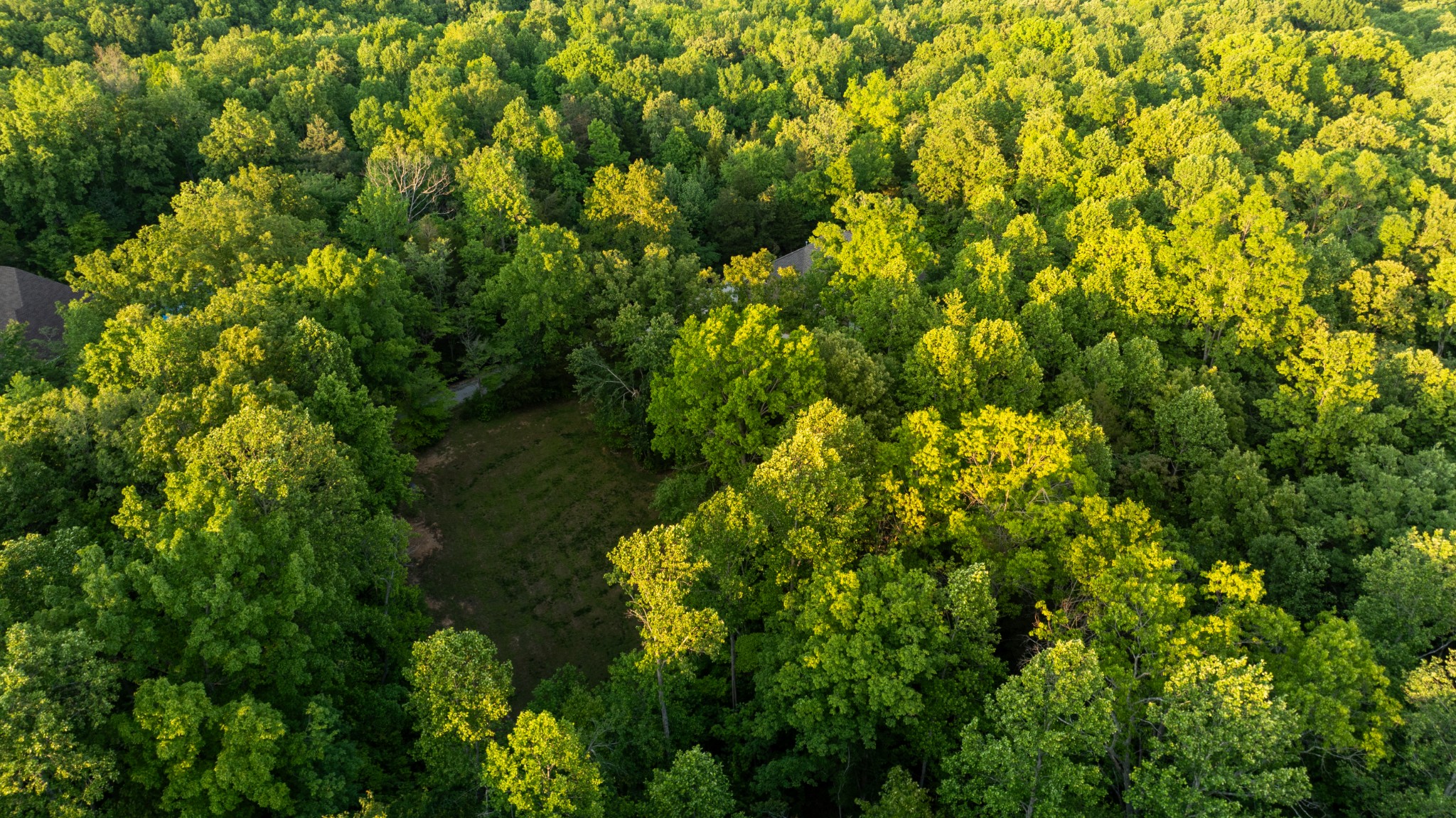 8012 Rose Ridge Pvt Lane Fairview TN 37062