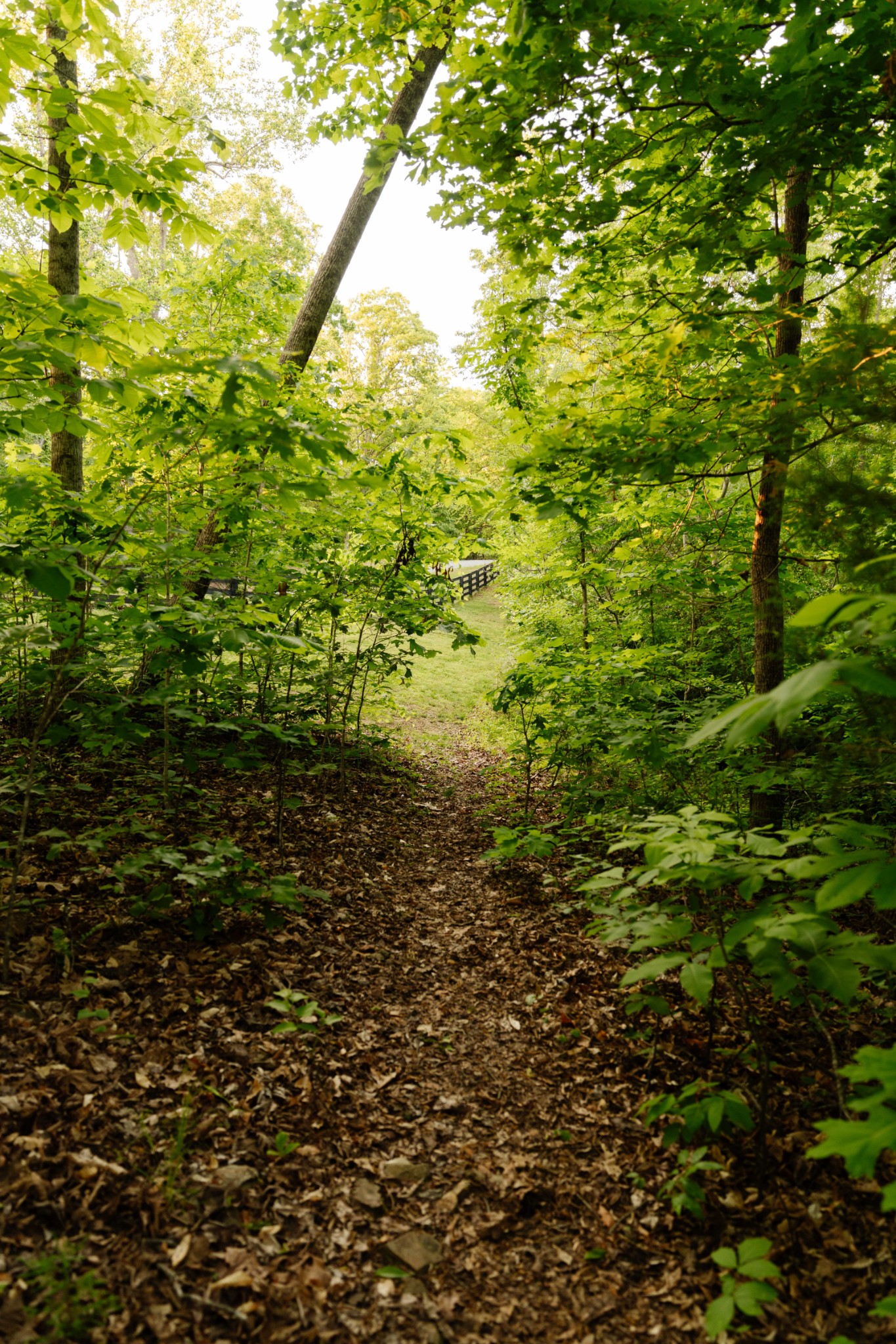 8012 Rose Ridge Pvt Lane Fairview TN 37062