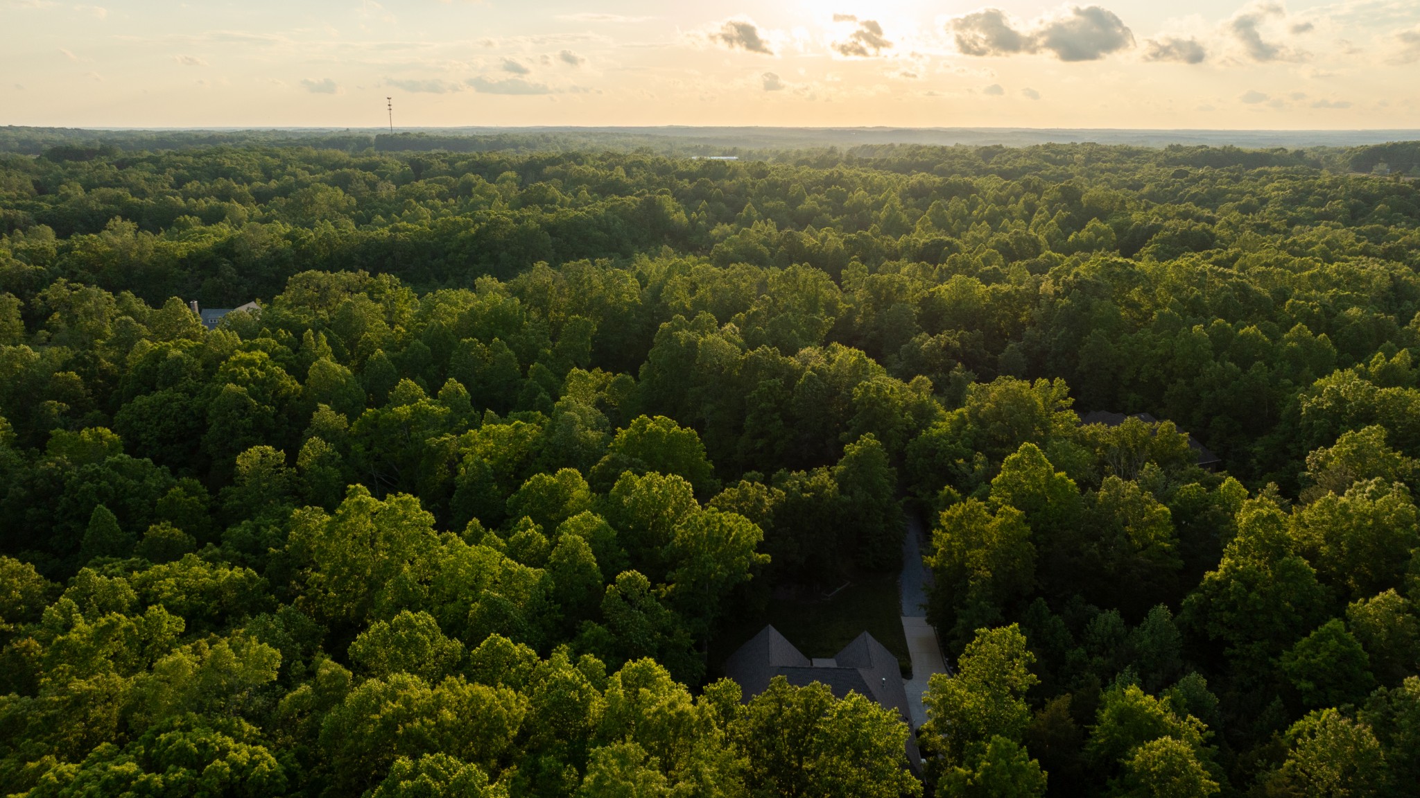 8012 Rose Ridge Pvt Lane Fairview TN 37062