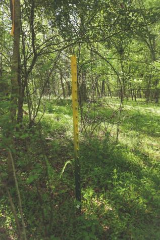 0 Highland Ridge Road Estill Springs TN 37330