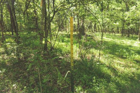 0 Highland Ridge Road Estill Springs TN 37330