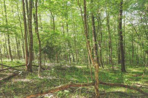 0 Highland Ridge Road Estill Springs TN 37330