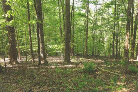 0 Highland Ridge Road Estill Springs TN 37330