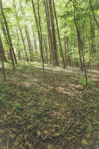 0 Highland Ridge Road Estill Springs TN 37330