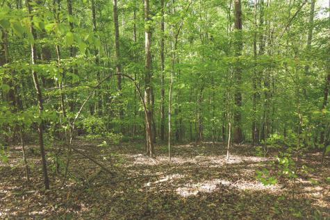 0 Highland Ridge Road Estill Springs TN 37330