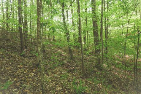 0 Highland Ridge Road Estill Springs TN 37330