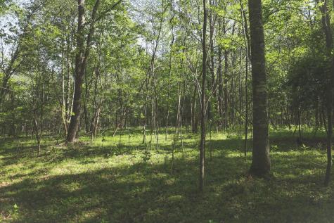 0 Highland Ridge Road Estill Springs TN 37330