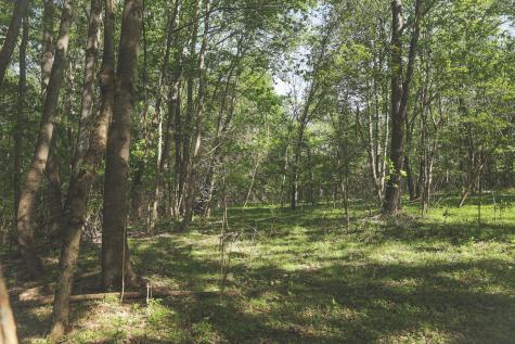 0 Highland Ridge Road Estill Springs TN 37330