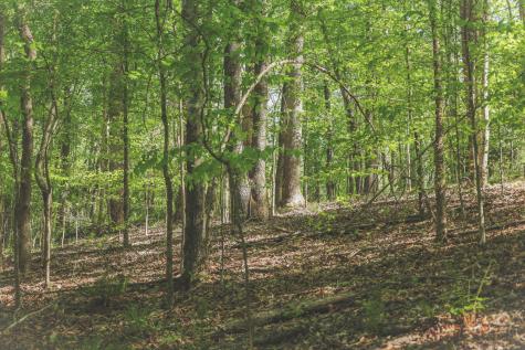 0 Highland Ridge Road Estill Springs TN 37330