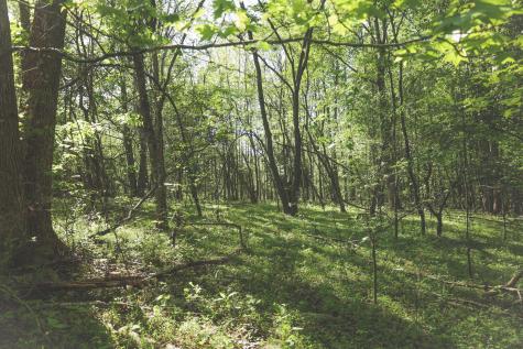 0 Highland Ridge Road Estill Springs TN 37330