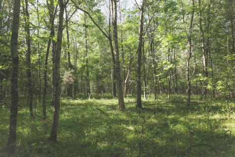 0 Highland Ridge Road Estill Springs TN 37330