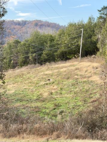 270 Higgins Road Woodbury TN 37190