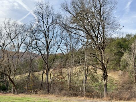 270 Higgins Road Woodbury TN 37190