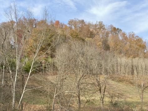 270 Higgins Road Woodbury TN 37190