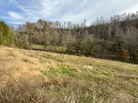 270 Higgins Road Woodbury TN 37190