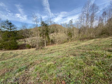 270 Higgins Road Woodbury TN 37190