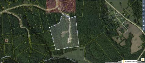 1499 Doe And Fawn Lane Crawford TN 38554