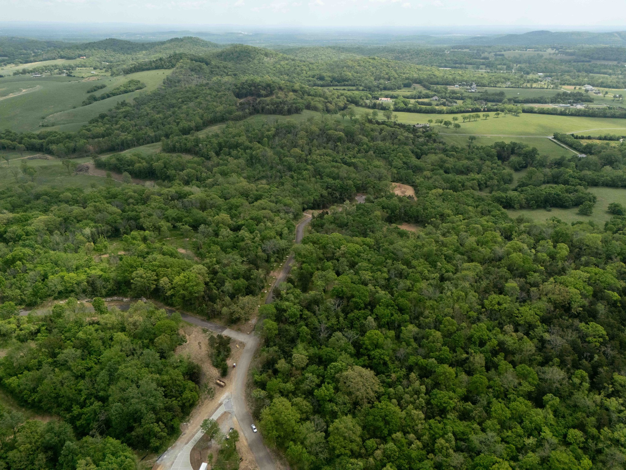 8021 Wilder Pass Arrington TN 37014