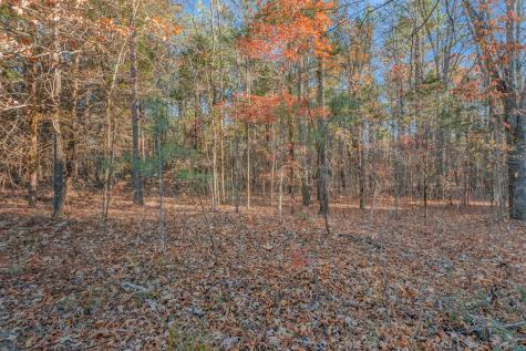 7164 Dice Lampley Road Fairview TN 37062