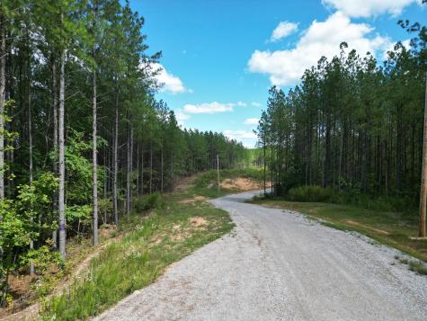 1406 Hillbrook Drive Linden TN 37096