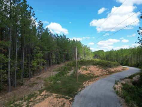 1406 Hillbrook Drive Linden TN 37096