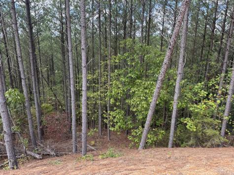 1406 Hillbrook Drive Linden TN 37096