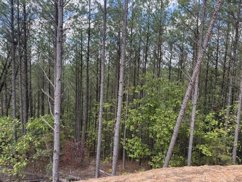 1406 Hillbrook Drive Linden TN 37096