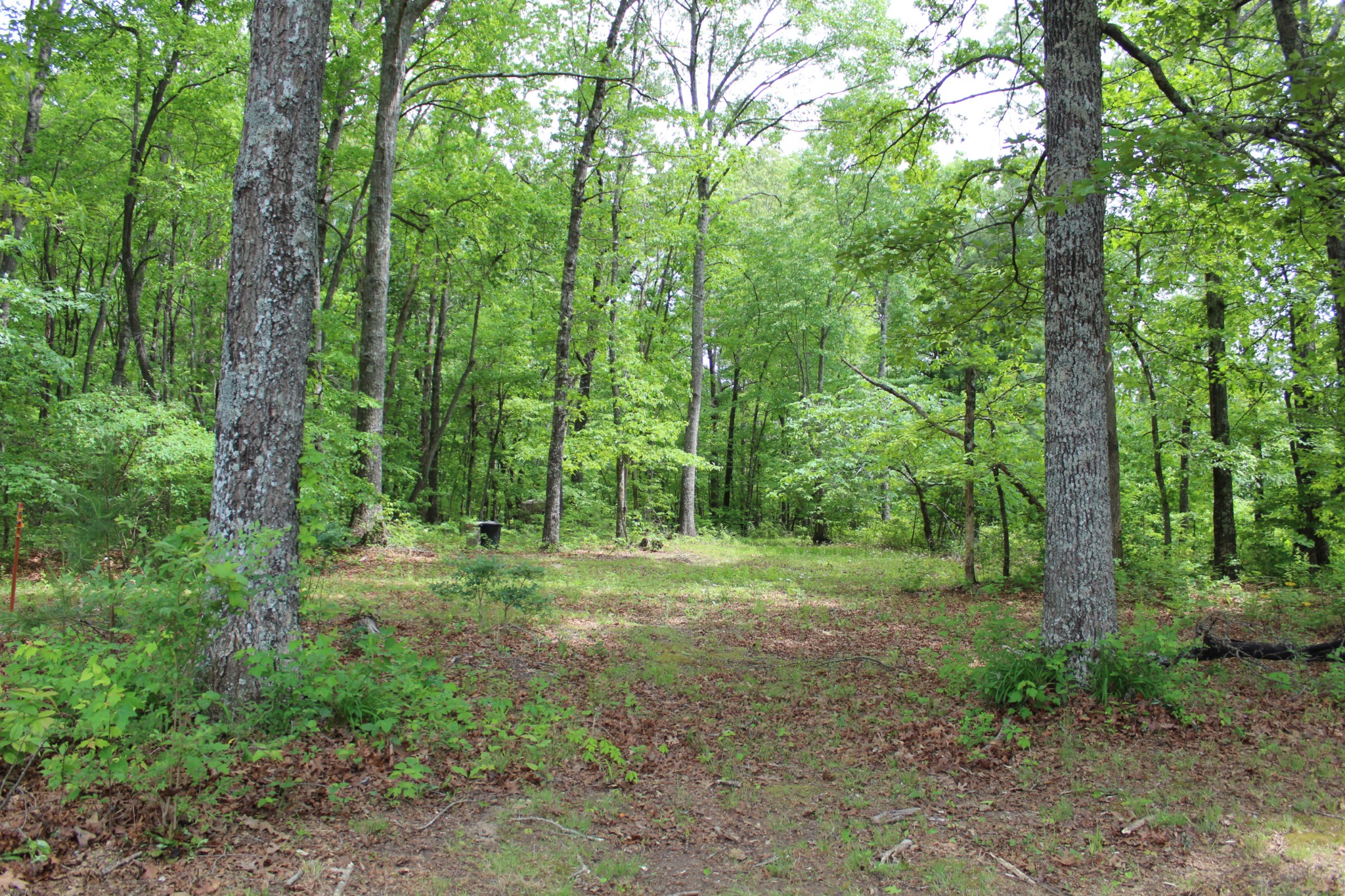 201 Hillsway Crossville TN 38555
