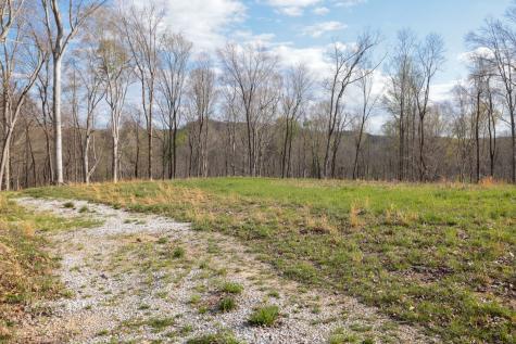 0 Bell Hollow Road Vanleer TN 37181