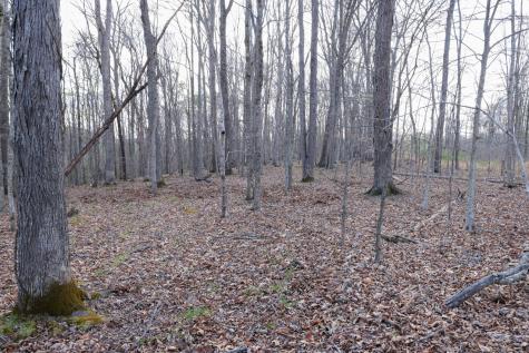 0 Bell Hollow Road Vanleer TN 37181