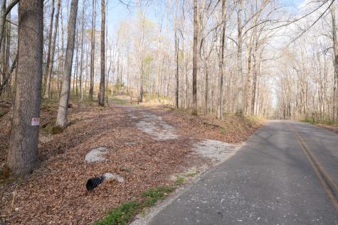 0 Bell Hollow Road Vanleer TN 37181