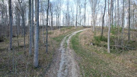 0 Bell Hollow Road Vanleer TN 37181
