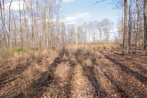 0 Bell Hollow Road Vanleer TN 37181