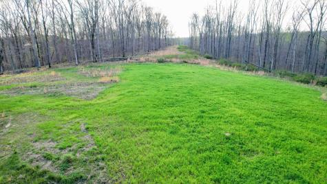 0 Bell Hollow Road Vanleer TN 37181