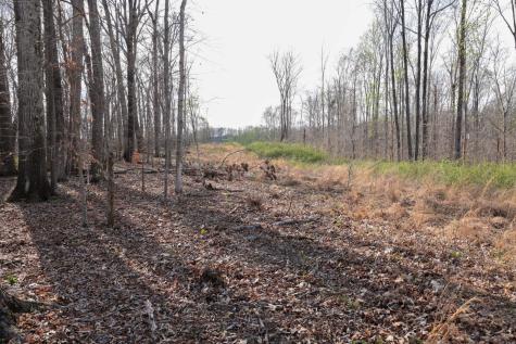 0 Bell Hollow Road Vanleer TN 37181