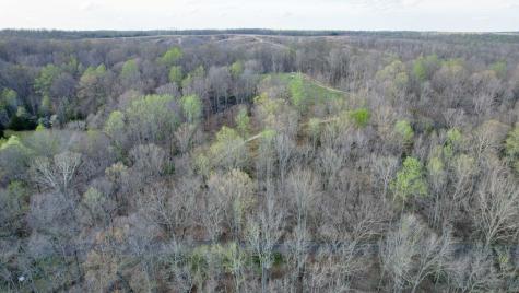 0 Bell Hollow Road Vanleer TN 37181