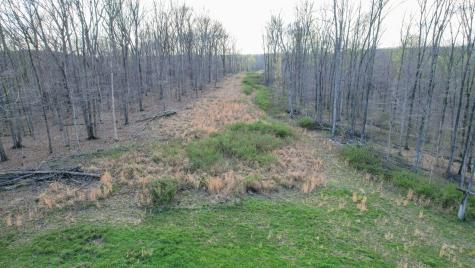 0 Bell Hollow Road Vanleer TN 37181