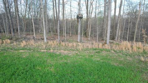 0 Bell Hollow Road Vanleer TN 37181