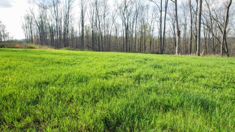 0 Bell Hollow Road Vanleer TN 37181