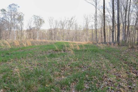 0 Bell Hollow Road Vanleer TN 37181