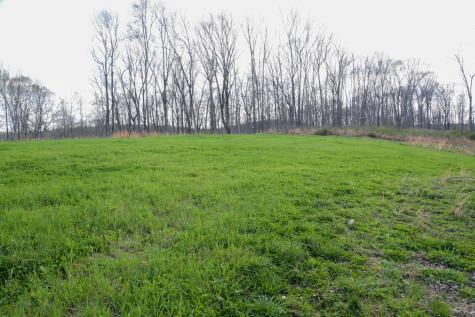 0 Bell Hollow Road Vanleer TN 37181